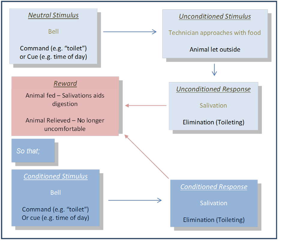 Hayley de Ronde - Classical Conditioning